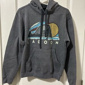 Lagoon Park Gray Hoodie